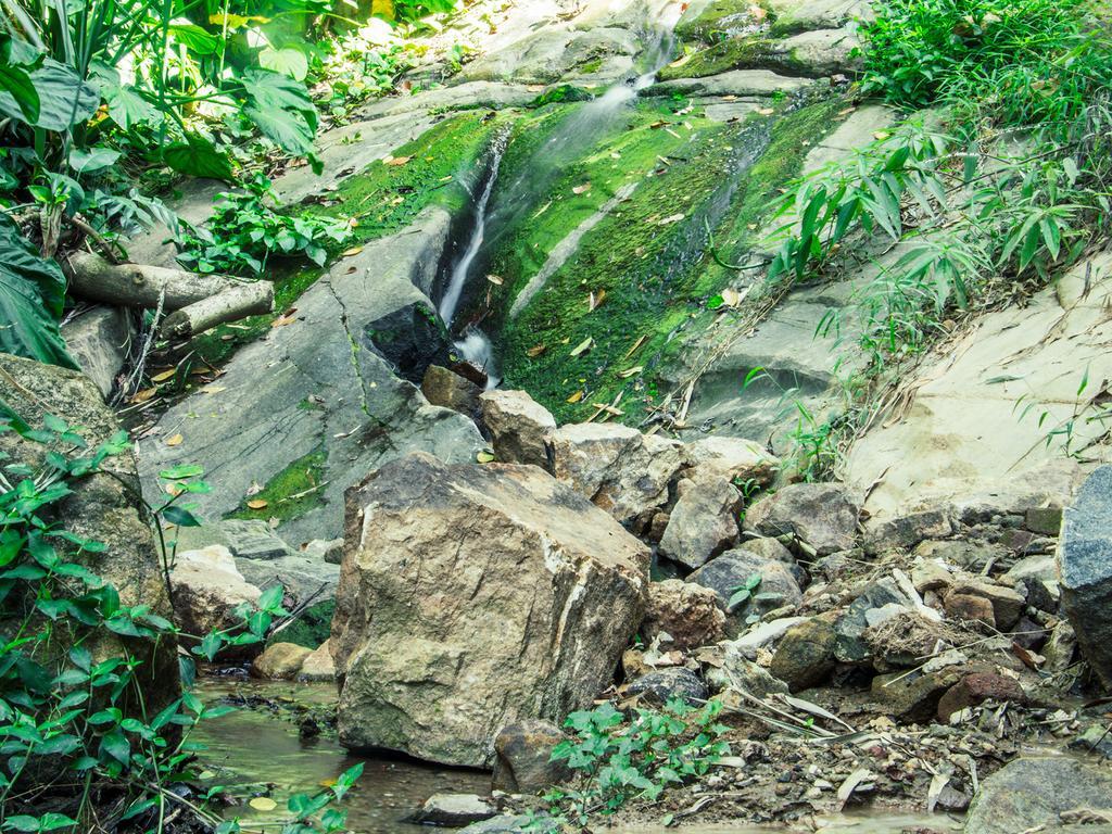 Aronka Homestay Kandy Buitenkant foto